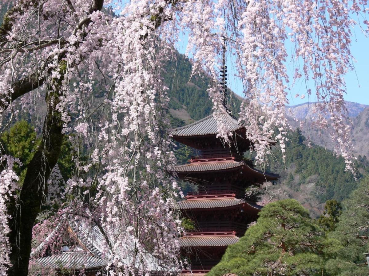 宿坊 端場坊｜Temple Hotel Habanobo Minobu Экстерьер фото